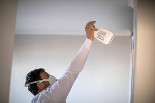Best Black Mold Removal  in Fullerton, CA