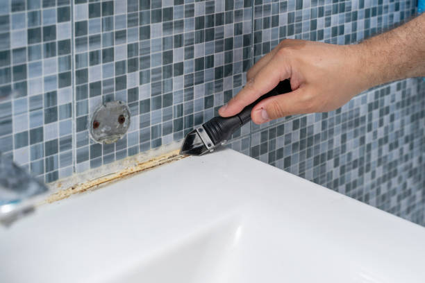 Best Attic Mold Removal  in Fullerton, CA